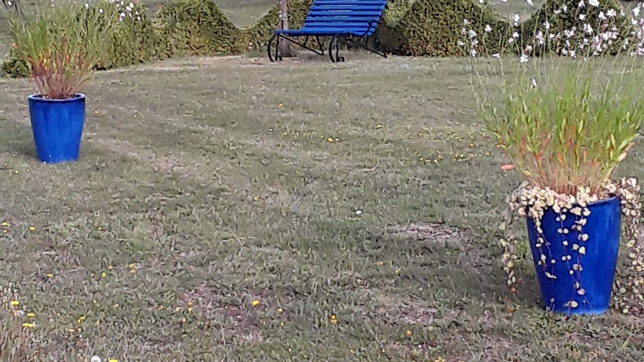 Photo of Outdoor in Lauzerte