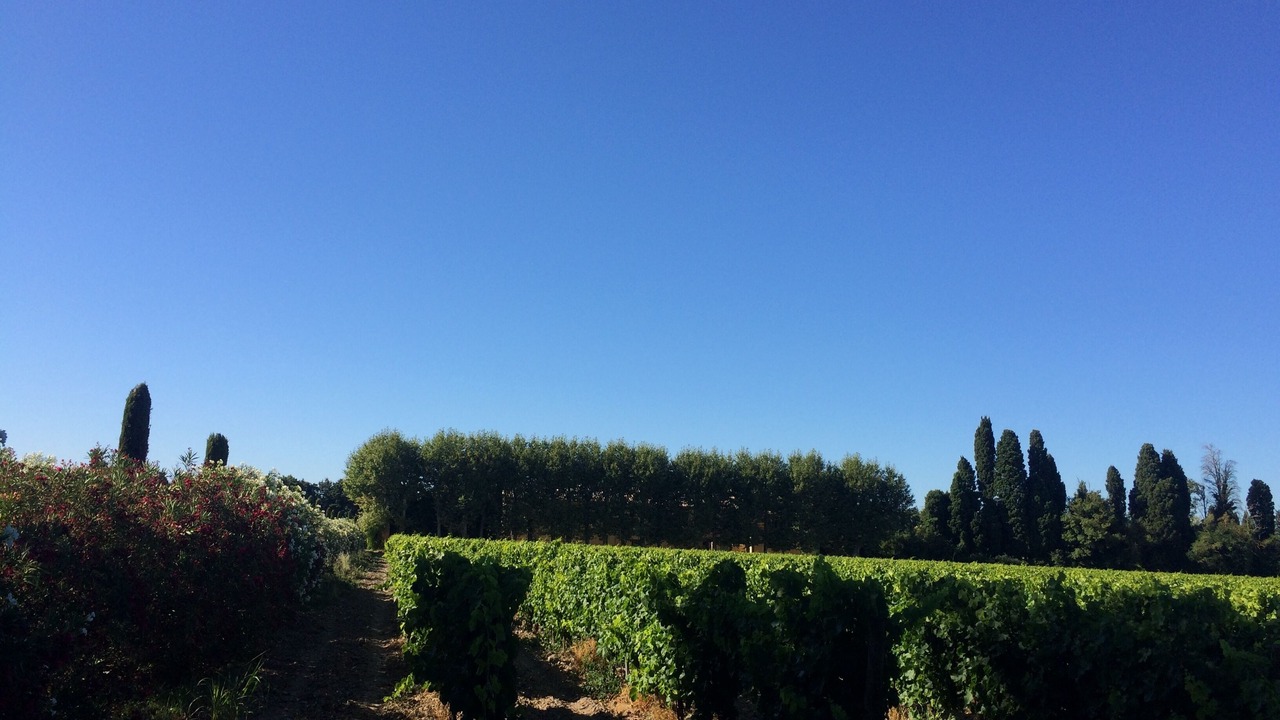 Photo of Outdoor in Cabannes