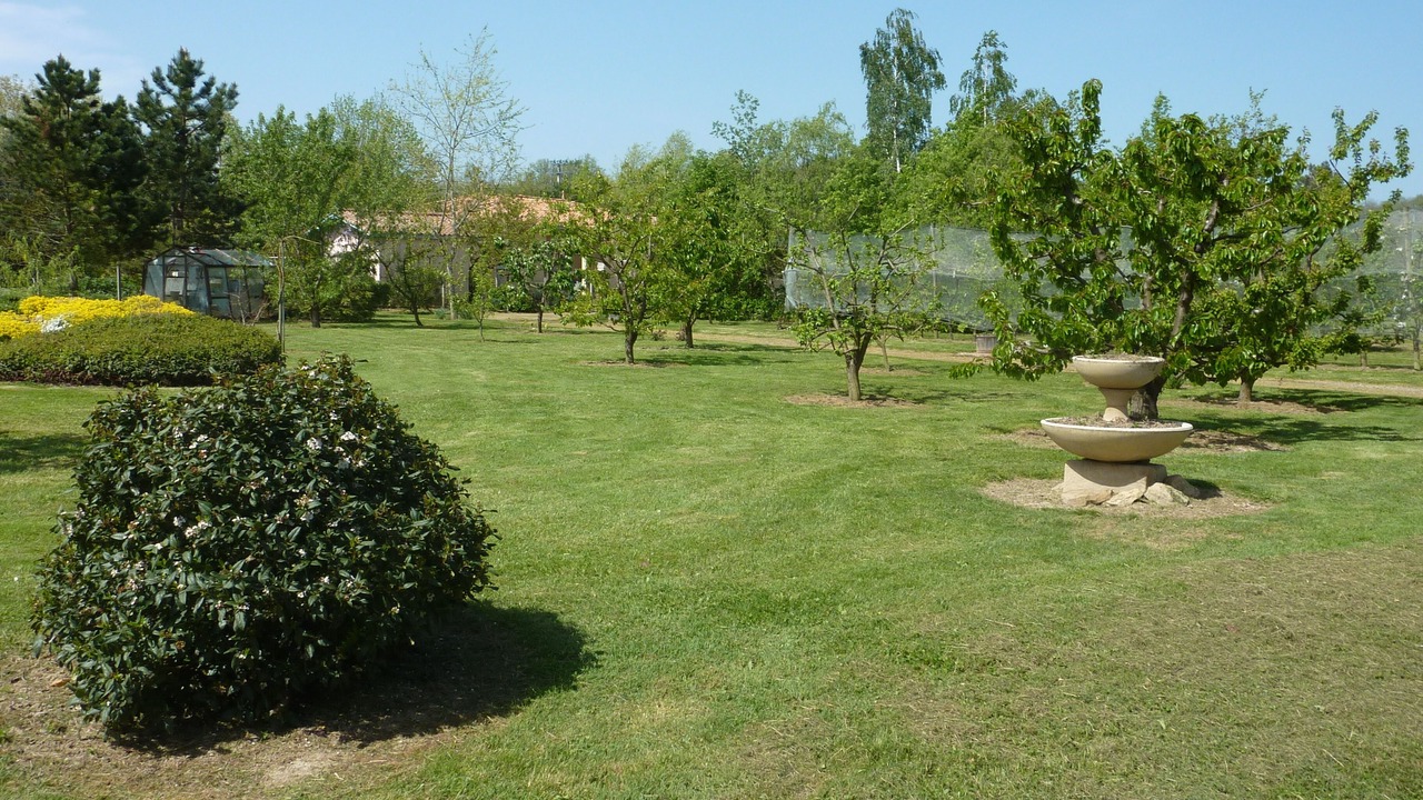 Photo of Outdoor in Castelferrus