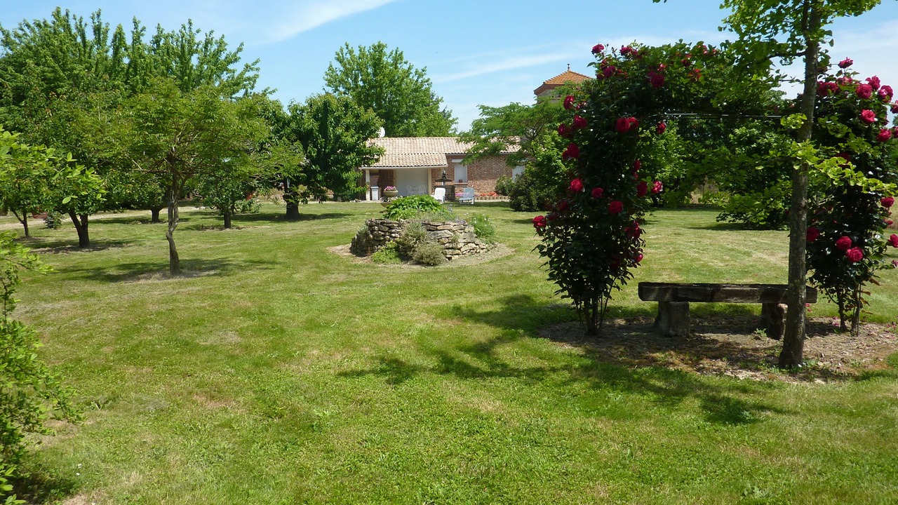 Photo of Outdoor in Castelferrus