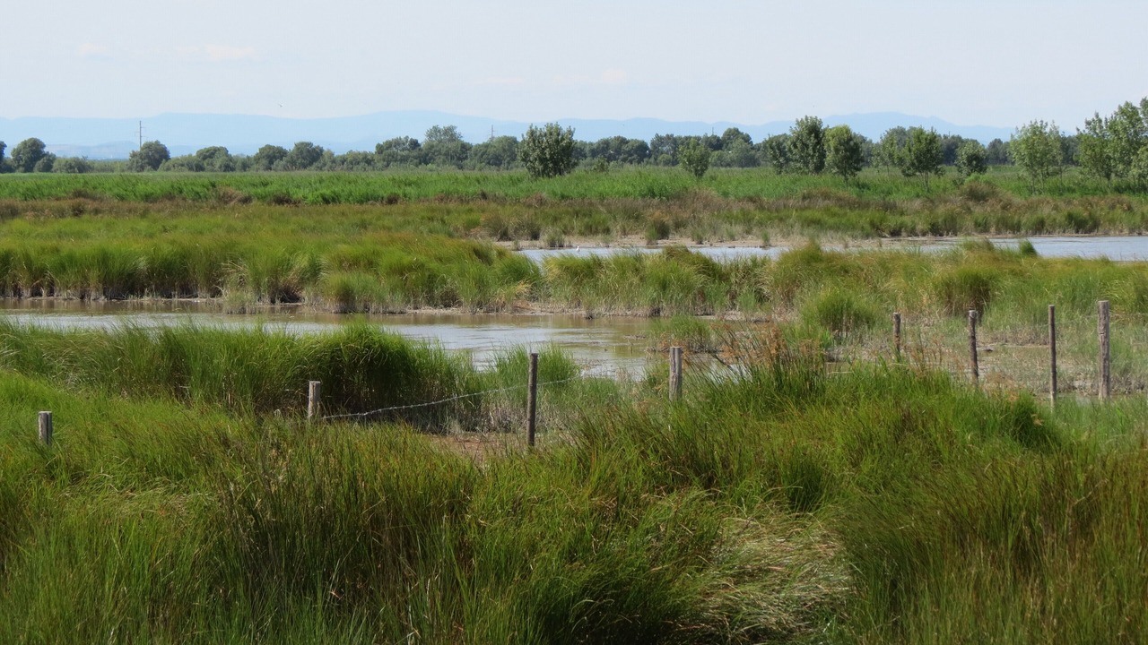 Photo of Outdoor in Saturargues
