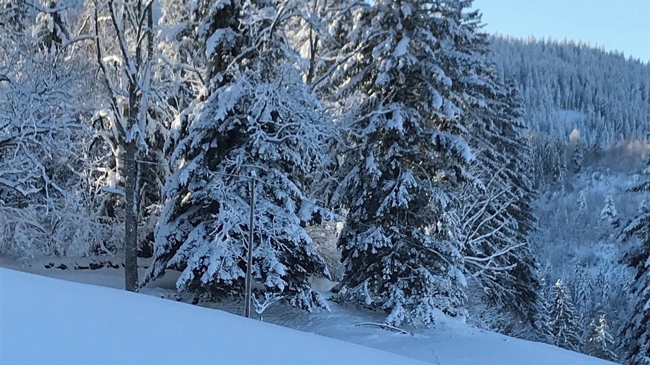Photo of Outdoor in Gerardmer