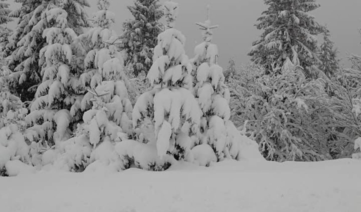 Photo of Outdoor in Gerardmer