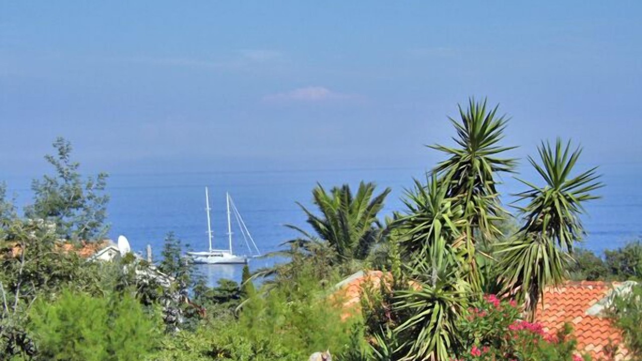 Photo of Outdoor in Erbalunga