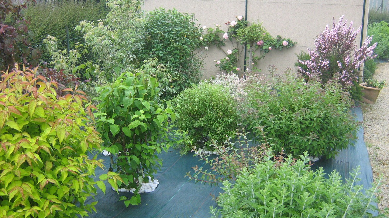 Photo of Outdoor in La Hisse