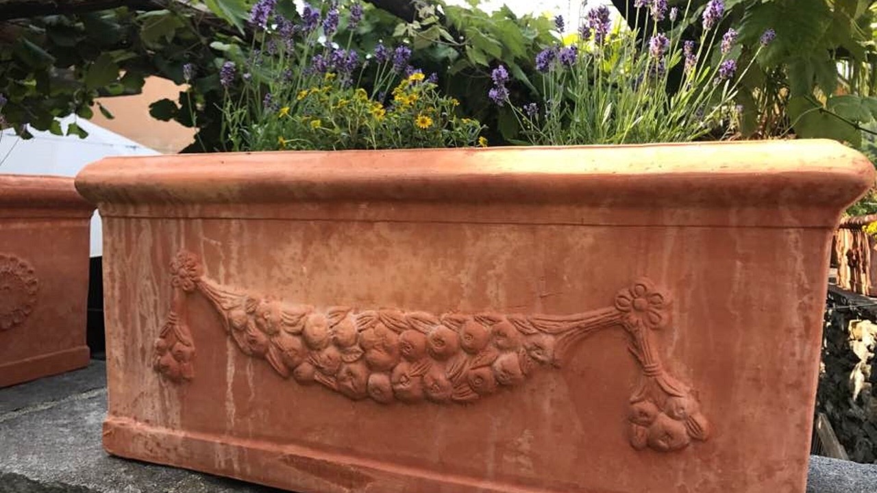 Photo of Outdoor in Aurigeno