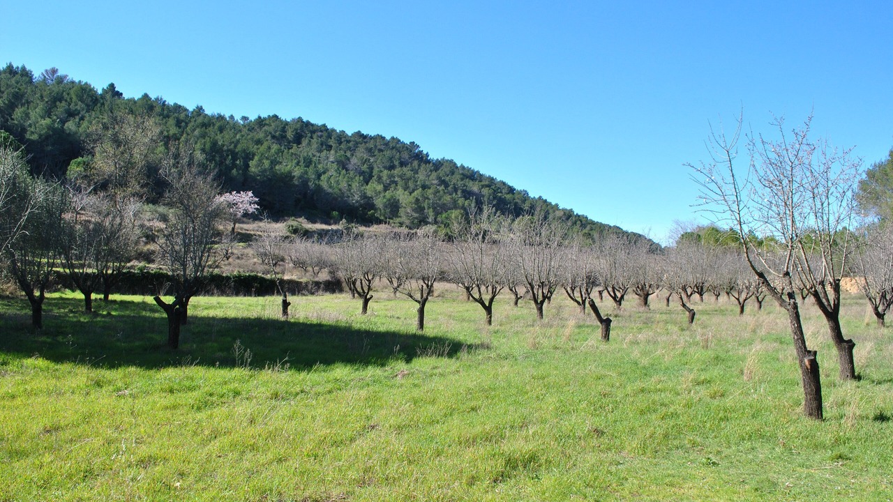Photo of Outdoor in Cessenon-sur-Orb