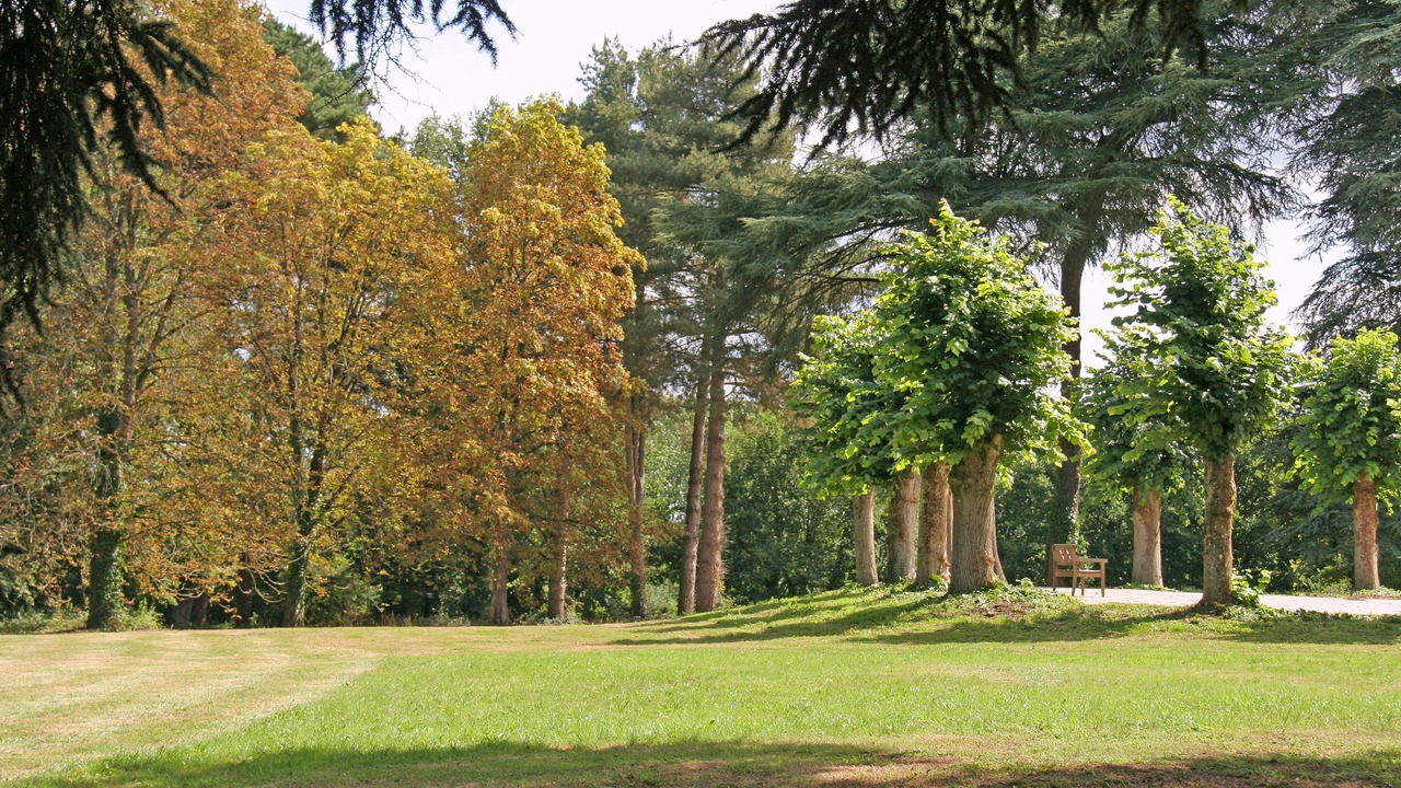 Photo of Outdoor in Bourg-dIre