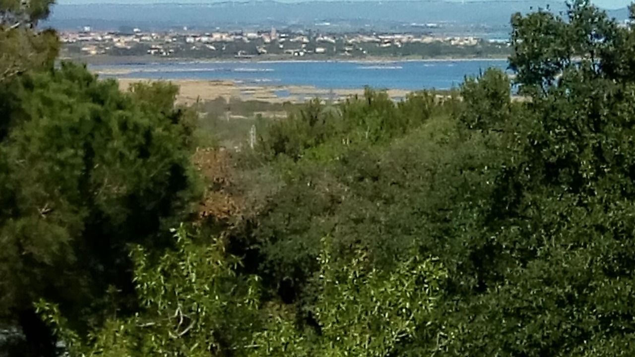 Photo of Others in Agde
