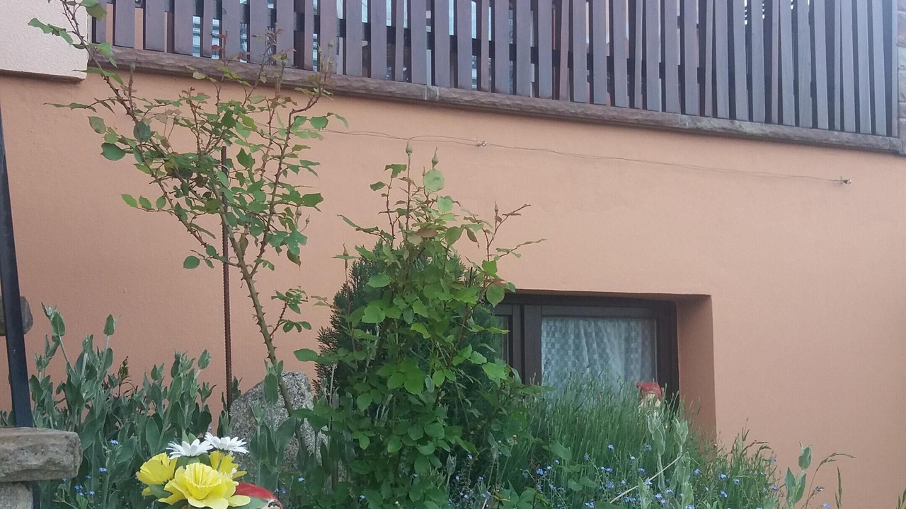 Photo of Outdoor in Le Hohwald