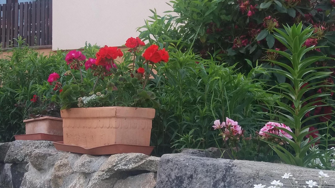 Photo of Outdoor in Le Hohwald
