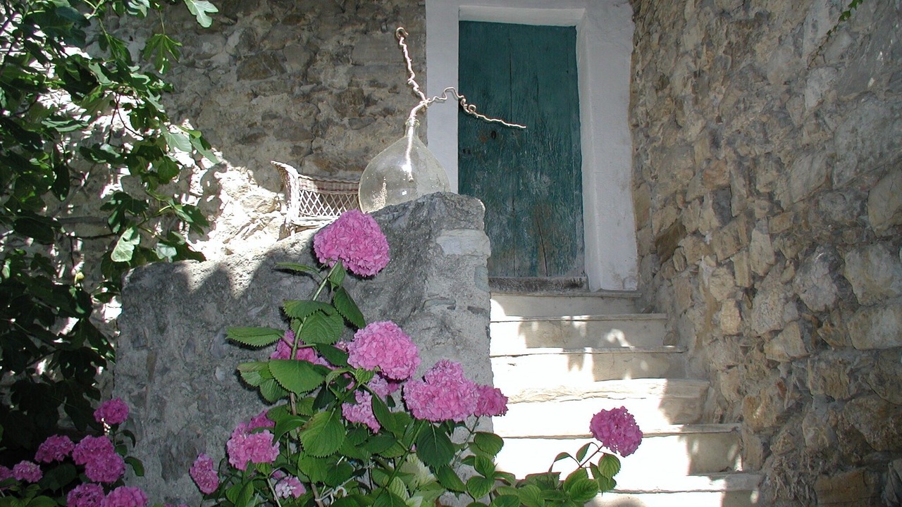 Photo of Outdoor in Montaulieu