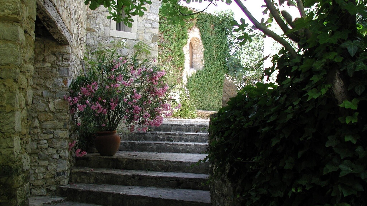 Photo of Outdoor in Montaulieu