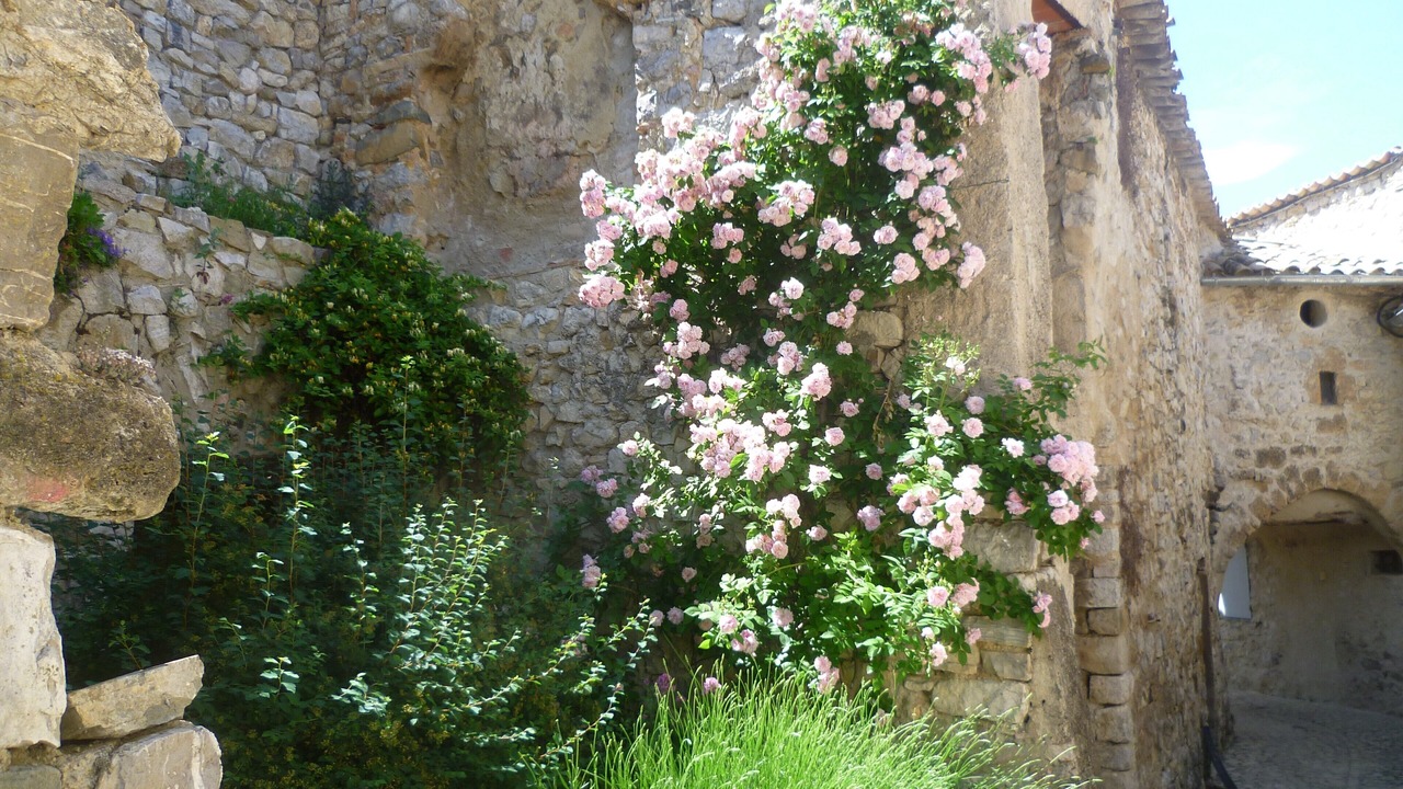 Photo of Outdoor in Montaulieu