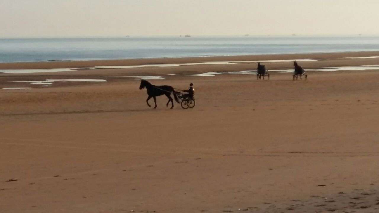Photo of Others in Saint-Laurent-sur-Mer