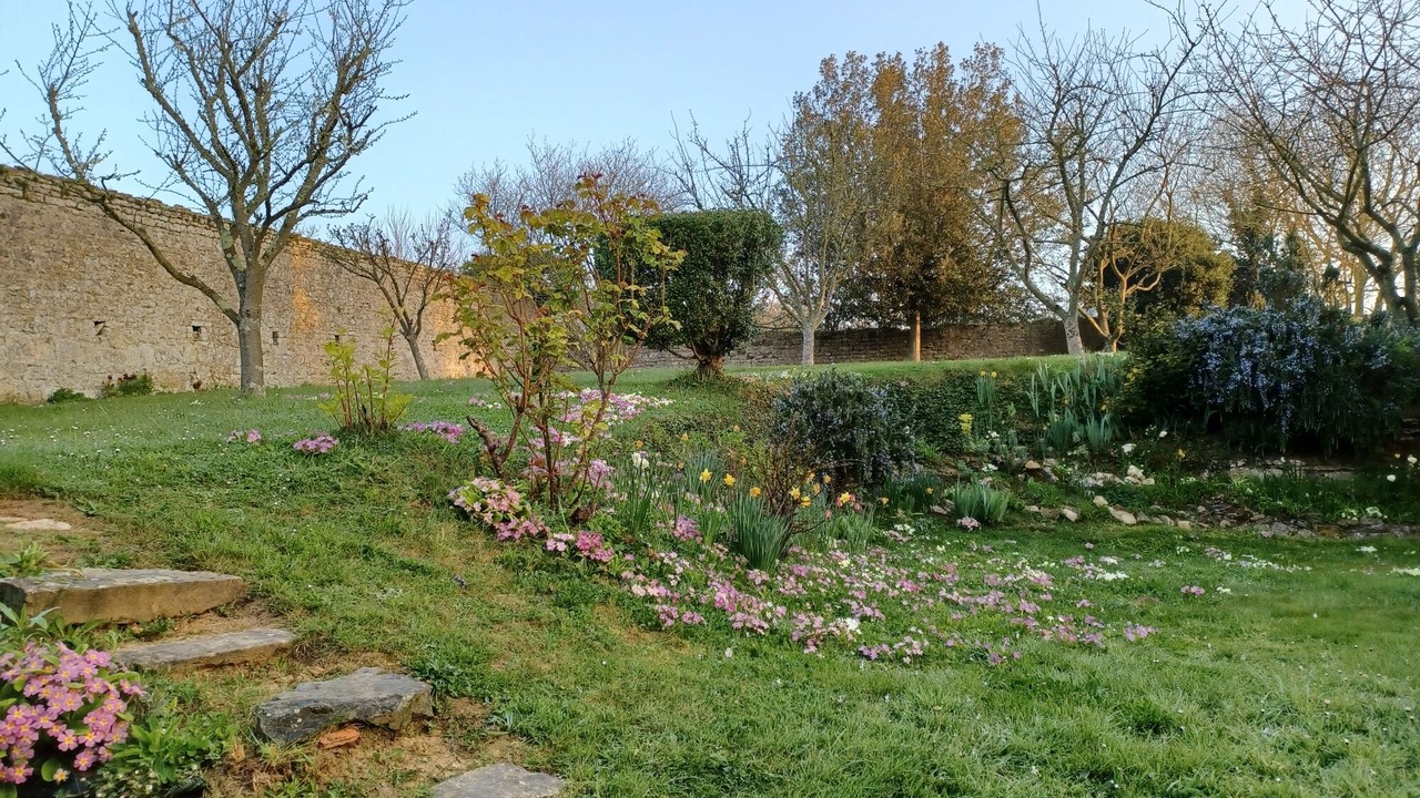 Photo of Outdoor in Saint-Laurent-sur-Mer