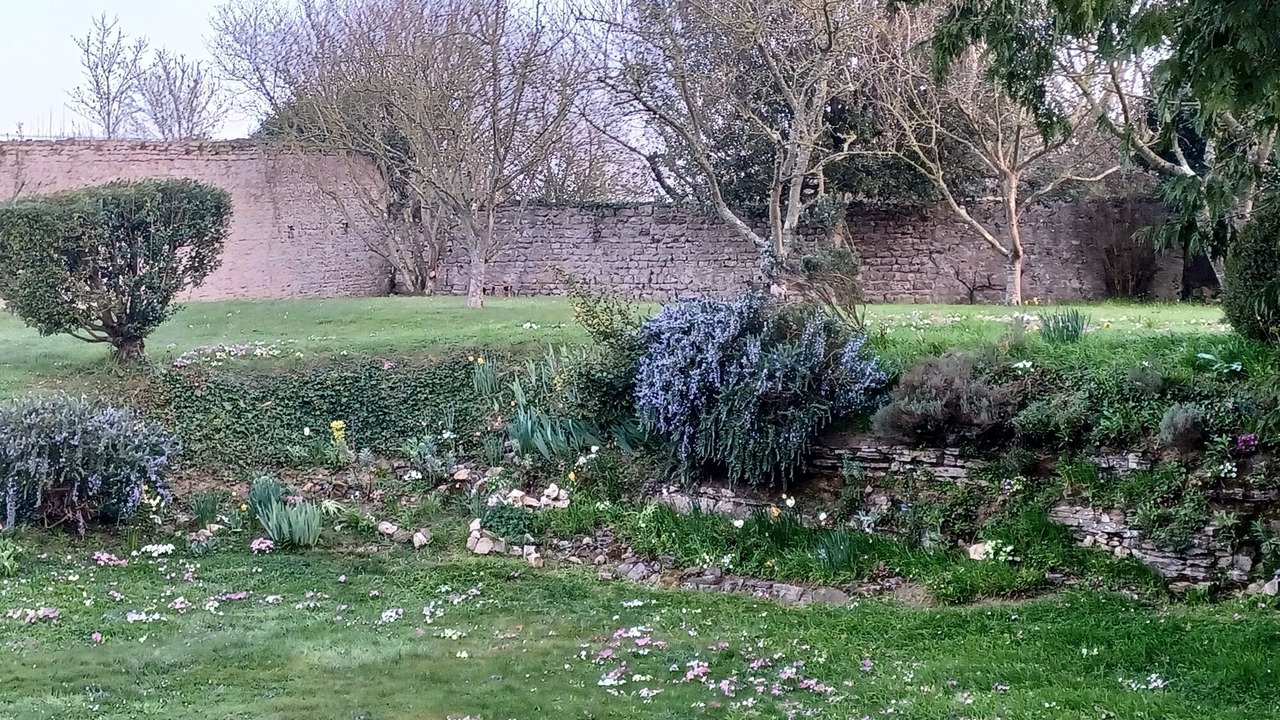 Photo of Outdoor in Saint-Laurent-sur-Mer