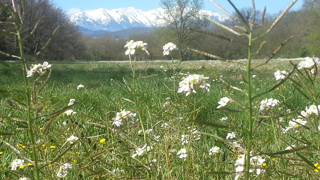 Photo of Outdoor in Thuir