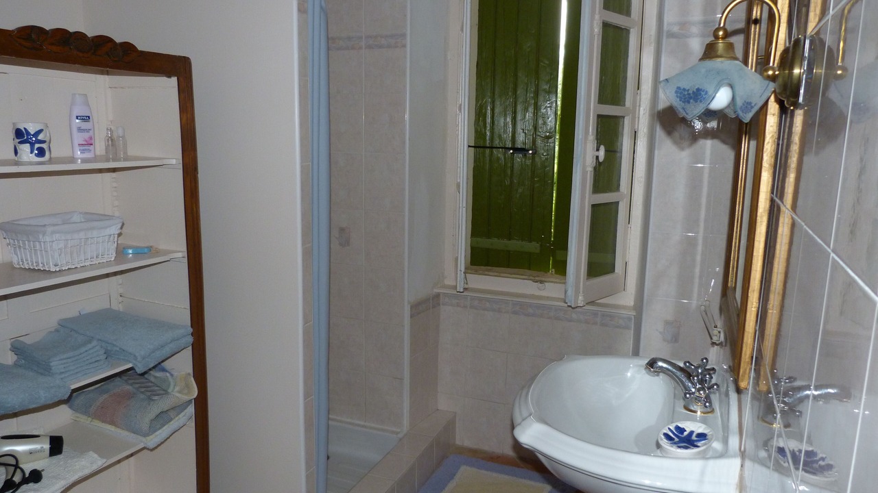 Photo of Bathroom in Souilhe