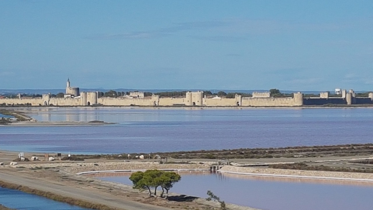 Photo of Others in Carnon-Plage