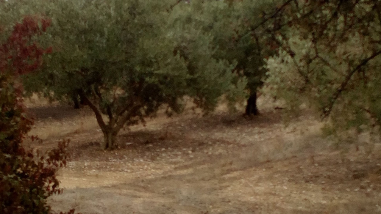 Photo of Outdoor in Saint-Remeze