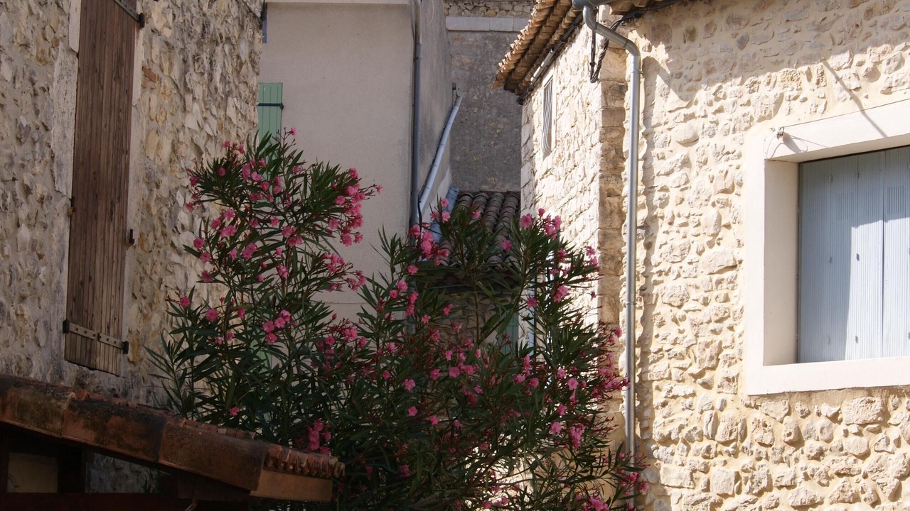 Photo of Outdoor in Saint-Remeze