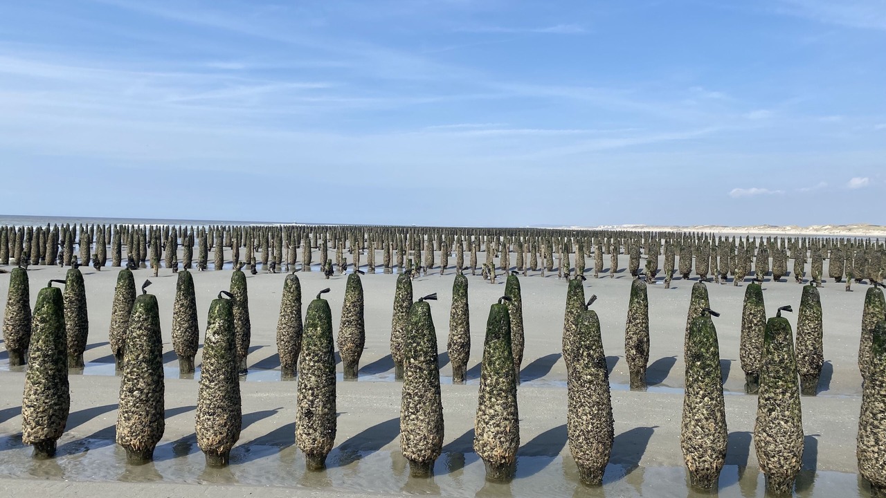 Photo of Others in Berck-sur-Mer