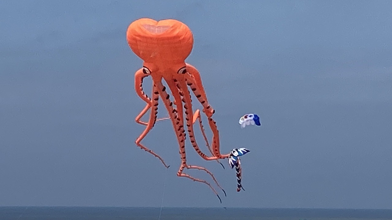 Photo of Outdoor in Berck-sur-Mer