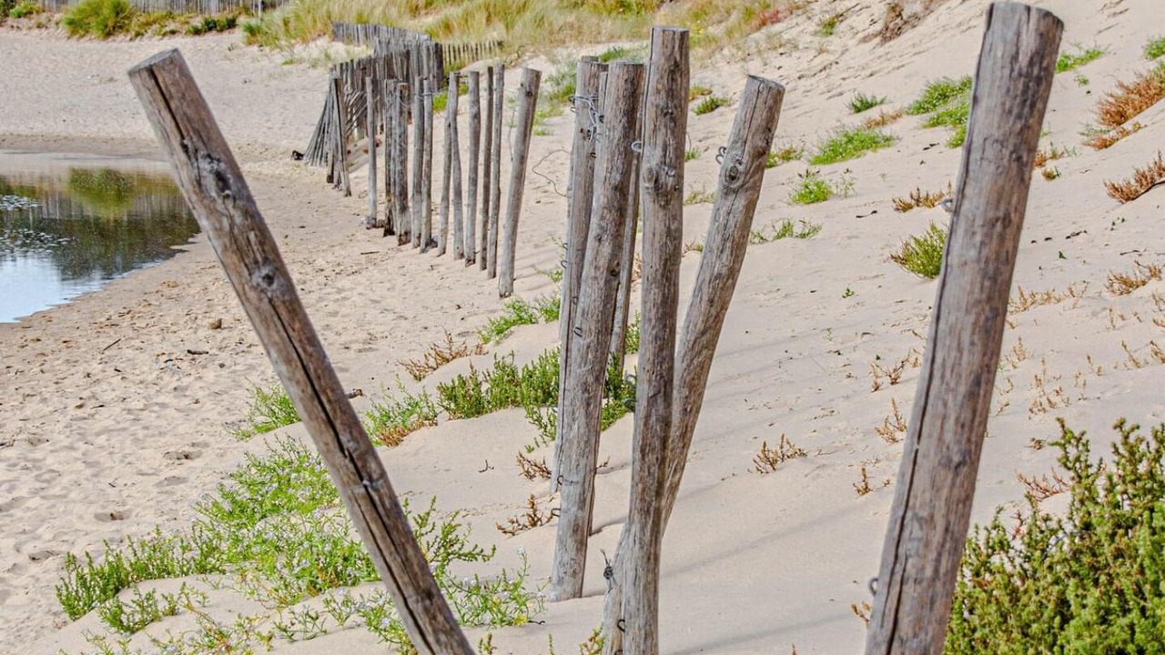 Photo of Others in Berck-sur-Mer