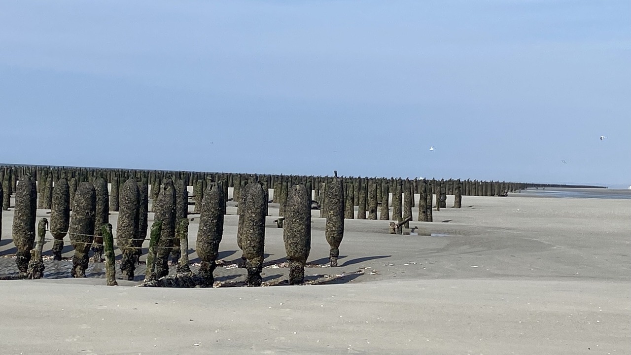 Photo of Others in Berck-sur-Mer