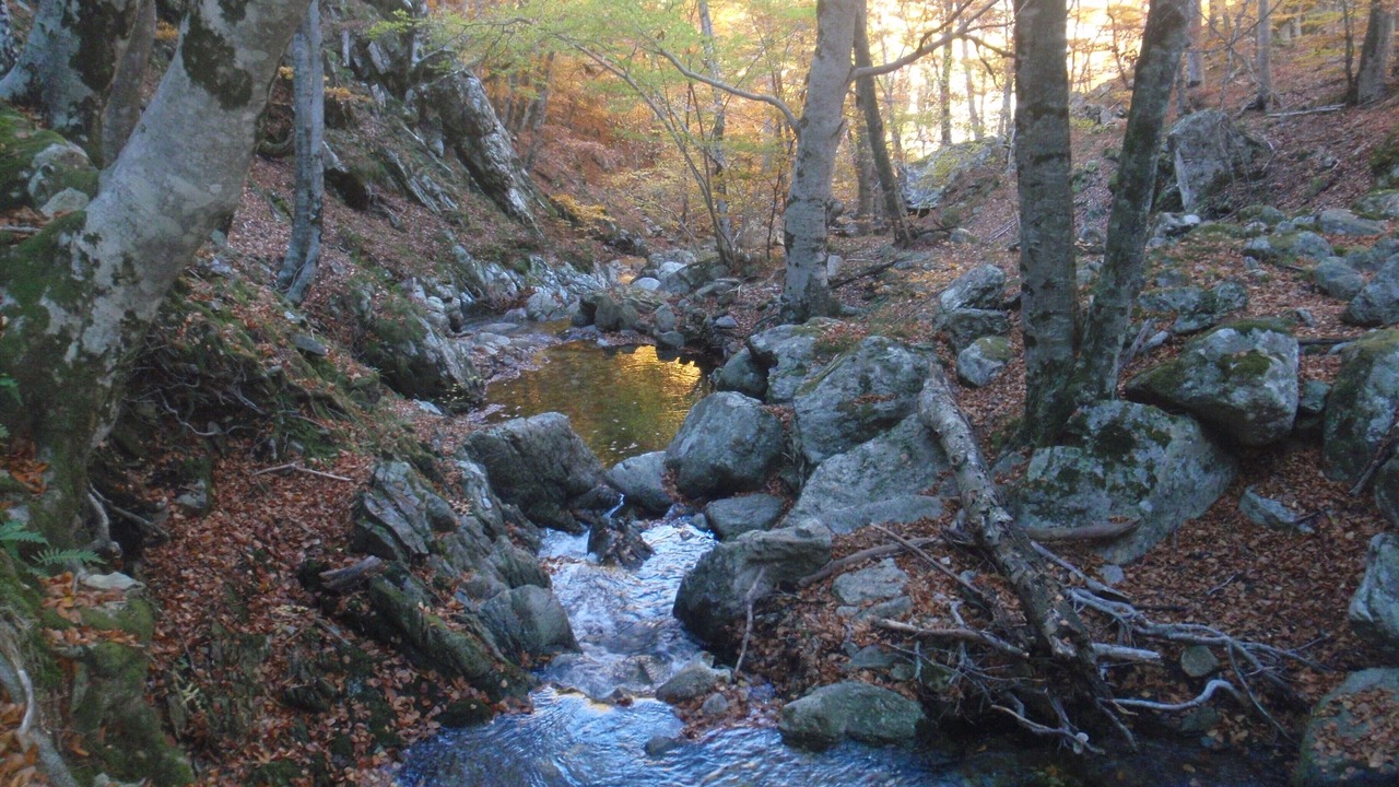 Photo of Outdoor in Ceret