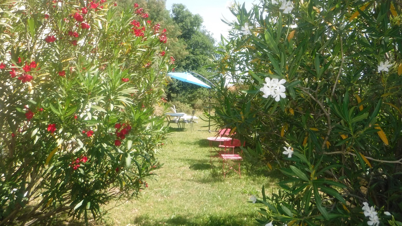 Photo of Outdoor in Ceret