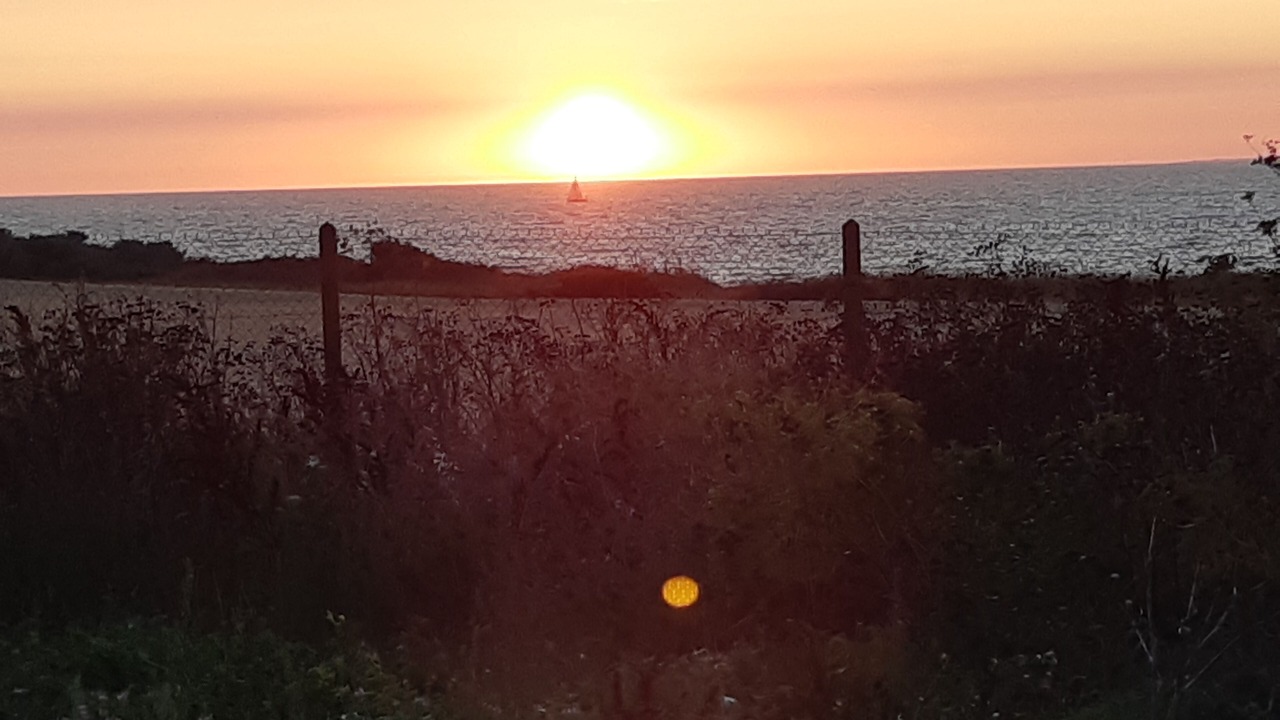 Photo of Others in Nieul-sur-Mer