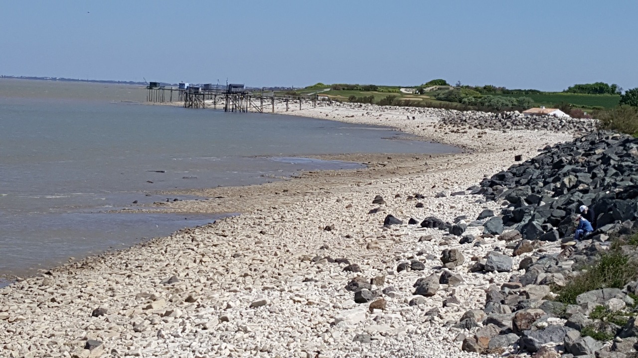 Photo of Others in Nieul-sur-Mer