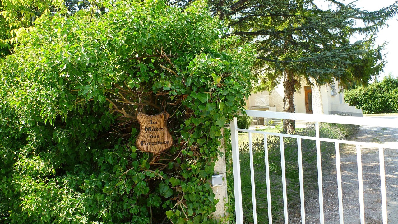 Photo of Outdoor in Sarrians