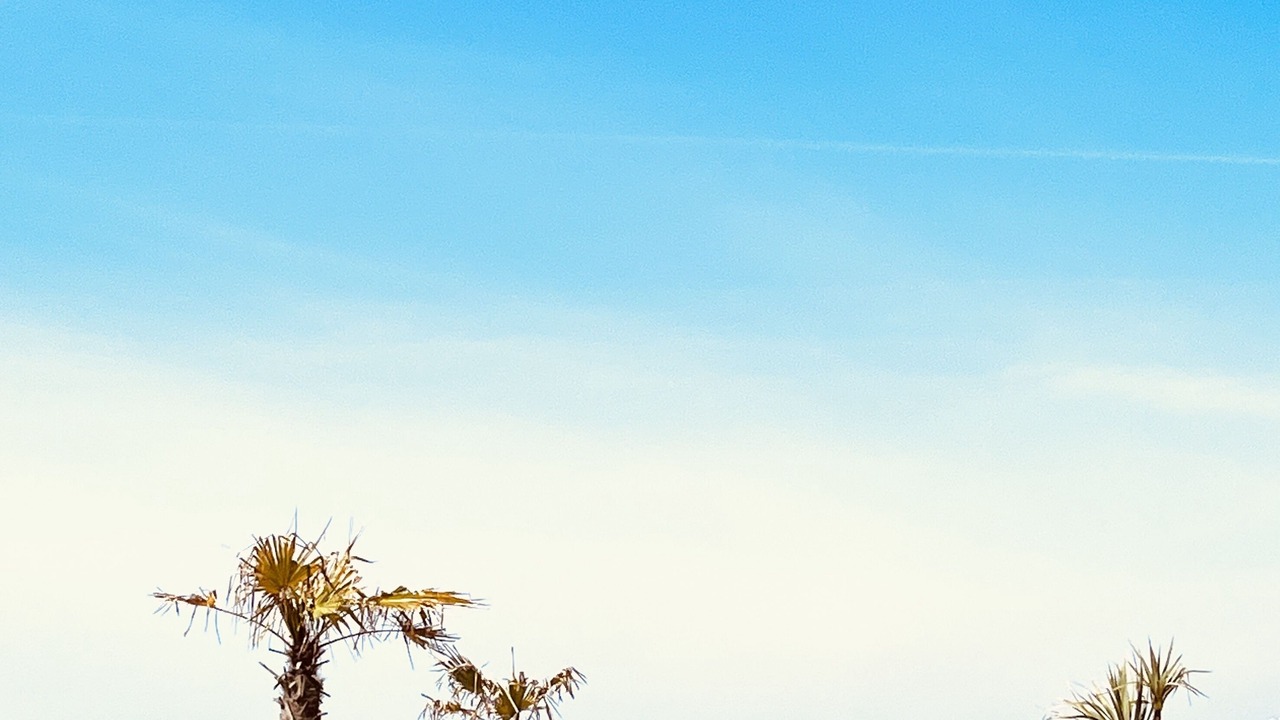 Photo of Others in La Baule-Escoublac