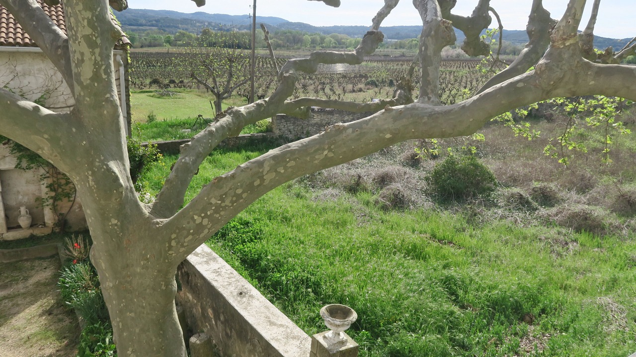 Photo of Outdoor in Saint-Gervais
