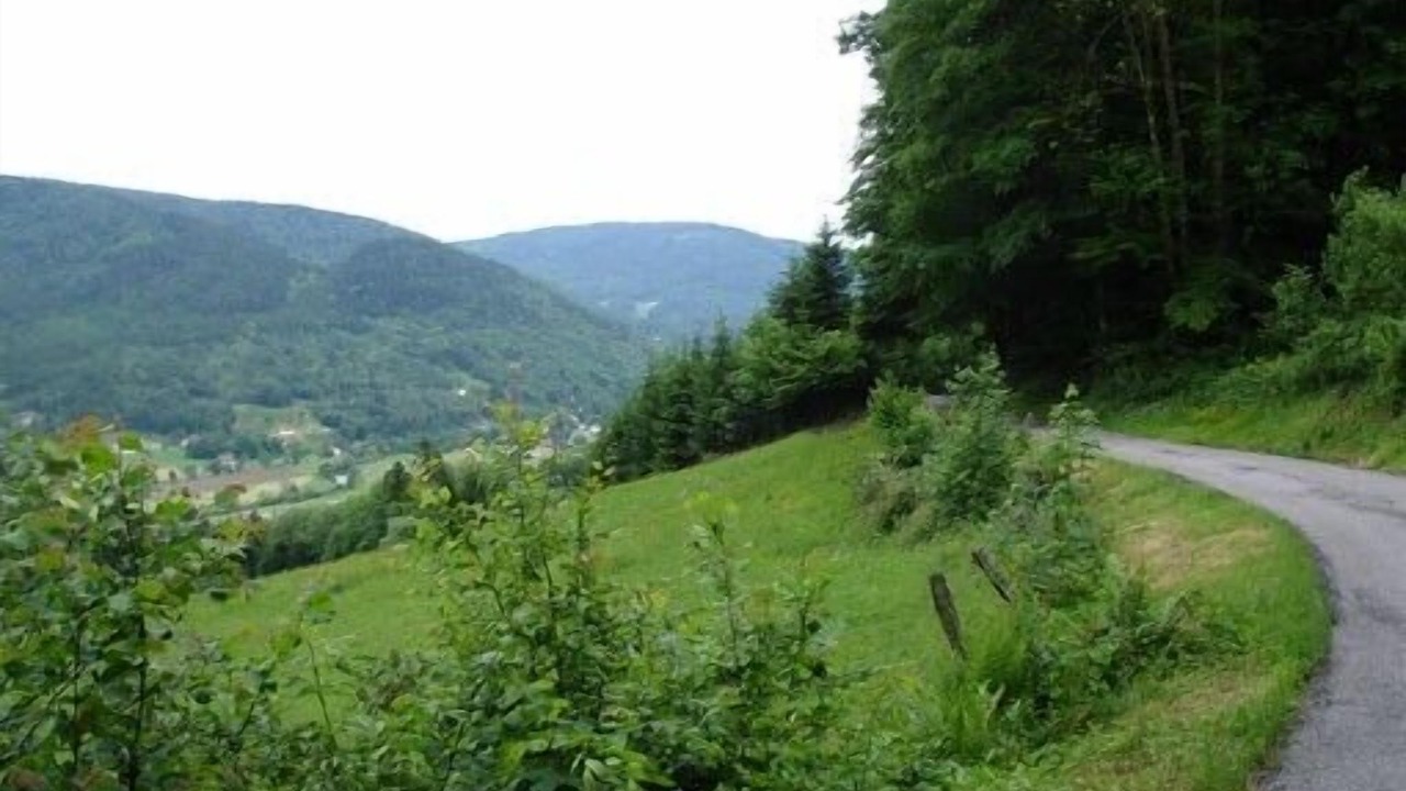 Photo of Outdoor in Rupt-sur-Moselle
