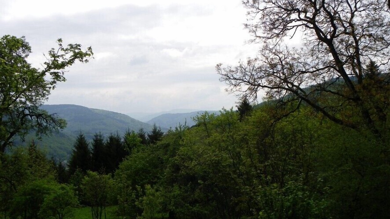 Photo of Outdoor in Rupt-sur-Moselle