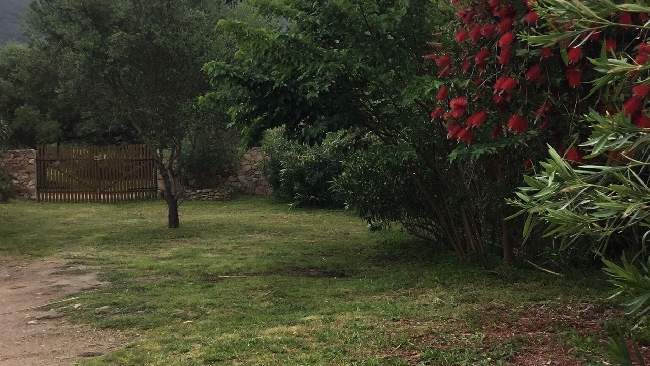 Photo of Outdoor in Figari