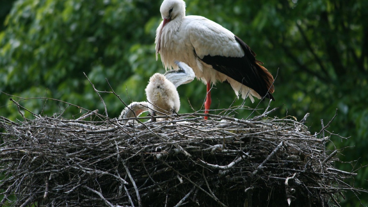 Photo of Outdoor in Breitenbach-Haut-Rhin
