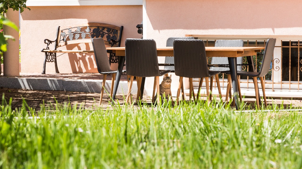 Photo of Outdoor in Breitenbach-Haut-Rhin
