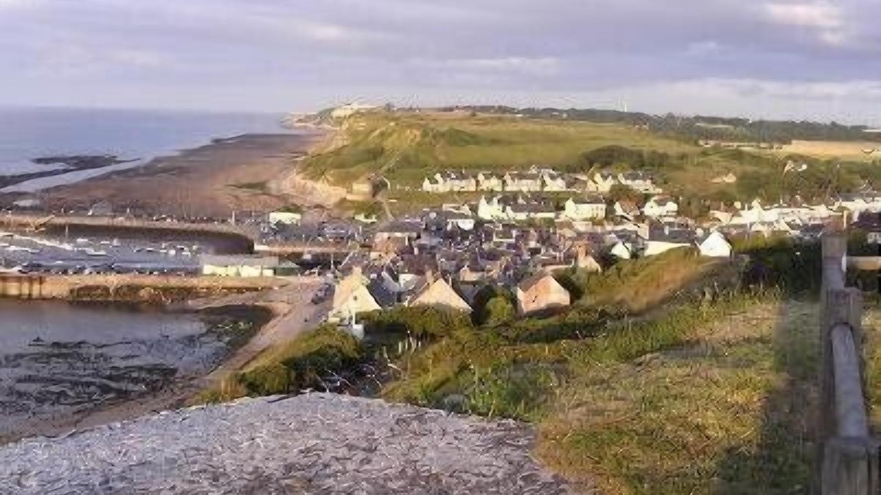 Photo of Others in Port-en-Bessin-Huppain