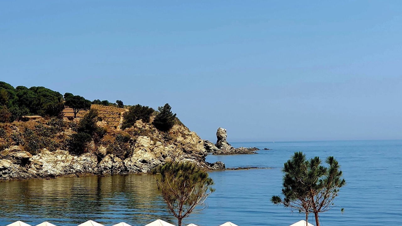 Photo of Others in Banyuls-sur-Mer