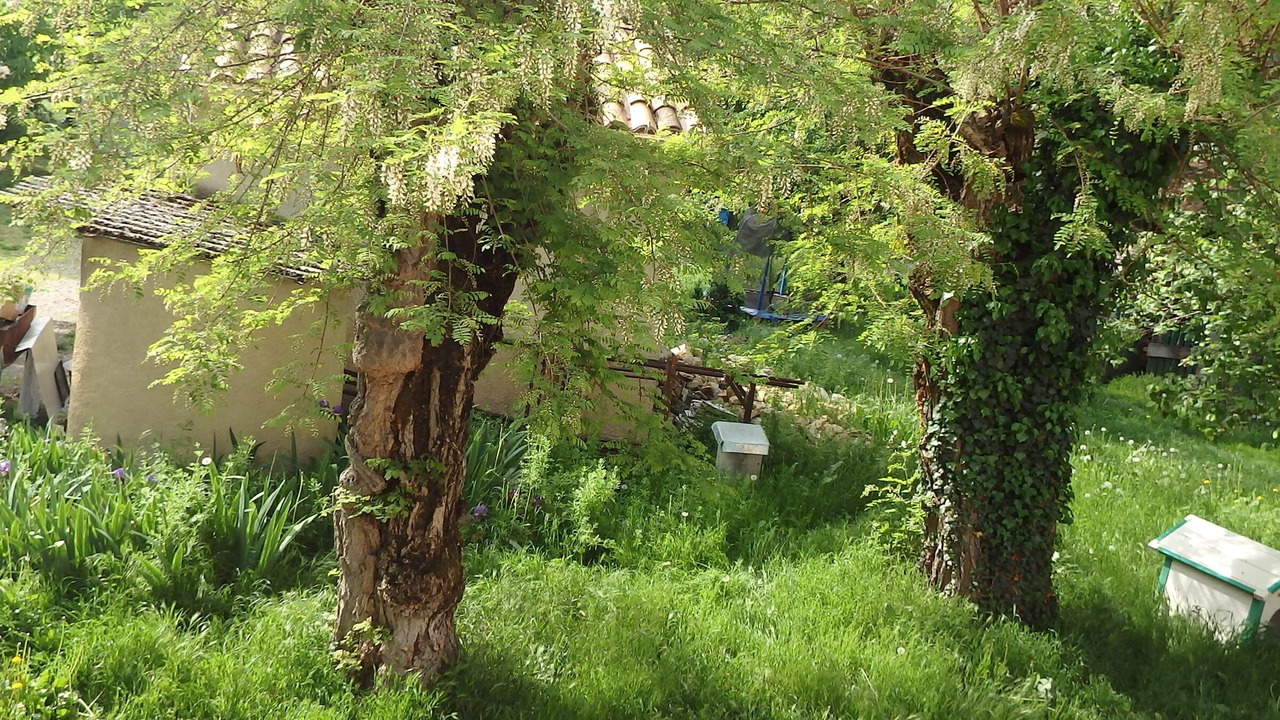Photo of Outdoor in Saint-Michel-l'Observatoire