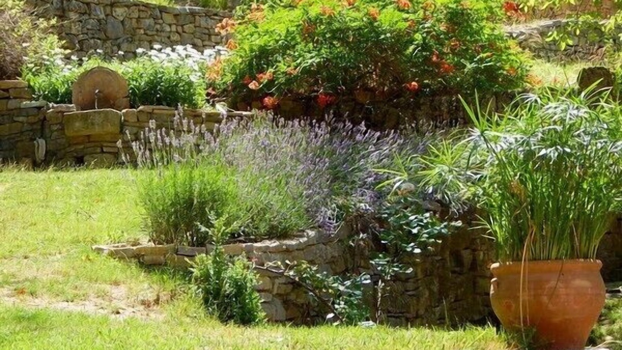 Photo of Outdoor in Pegairolles-de-l'Escalette