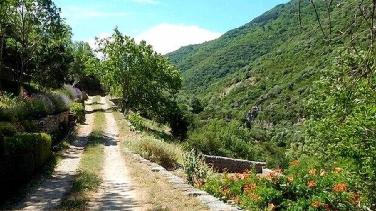 Photo of Outdoor in Pegairolles-de-l'Escalette