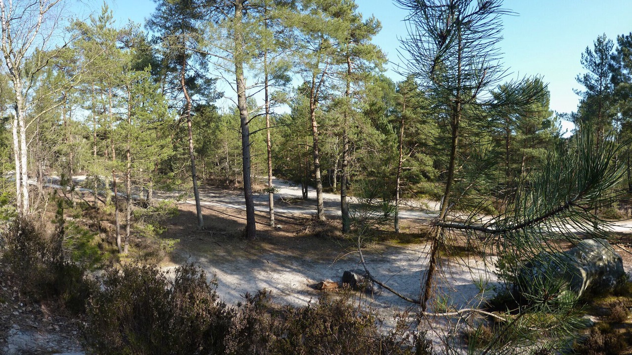 Photo of Others in Fontainebleau