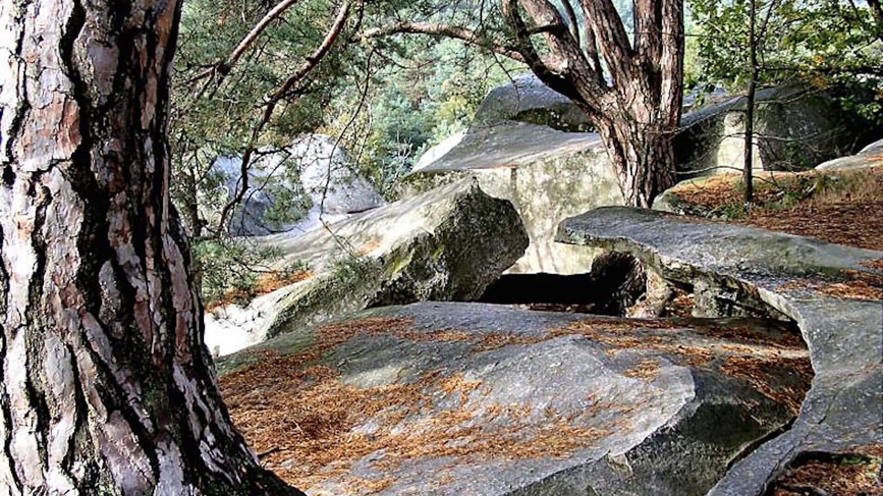 Photo of Outdoor in Fontainebleau