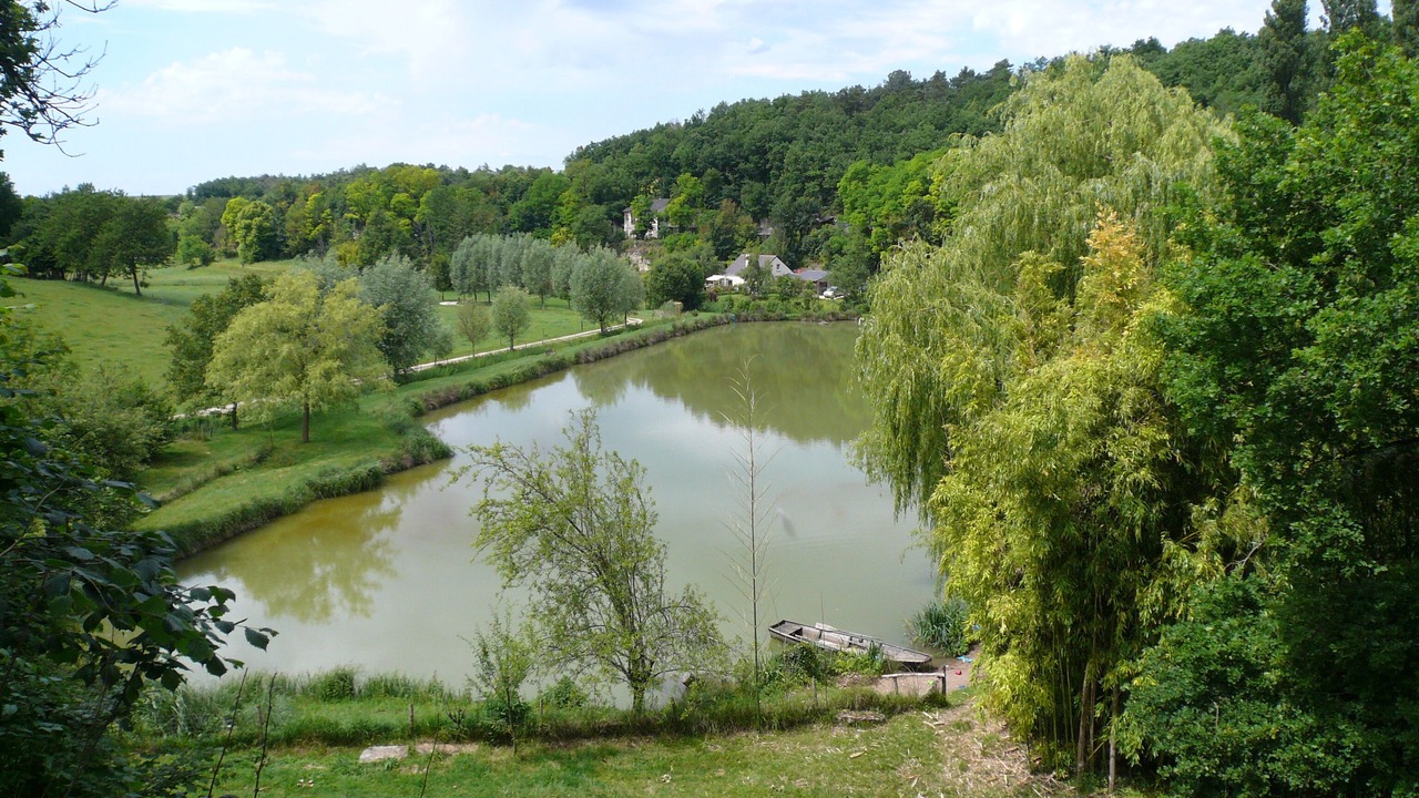 Photo of Outdoor in Saint-Epain